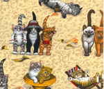 Sélection Élite- Masques motif de chats